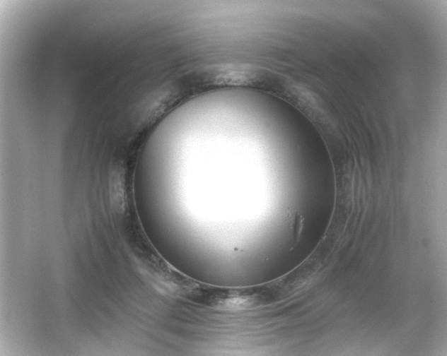 X0000066100312200603171403