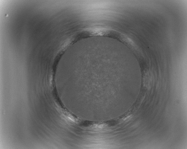 X0000066100314200603171403