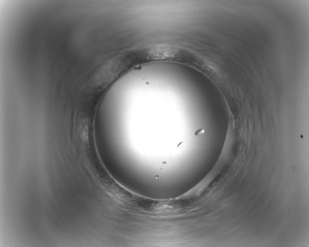 X0000066100315200603171403