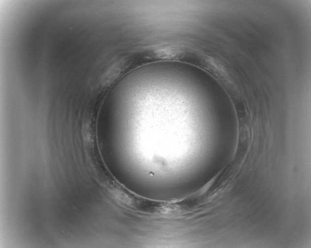 X0000066100317200603171403