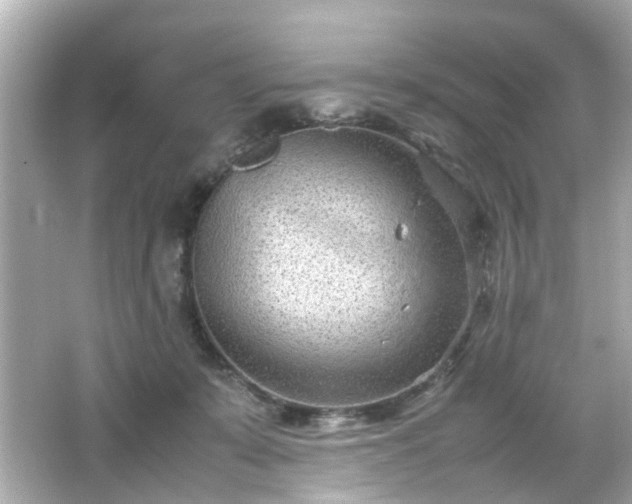 X0000066100319200603171403