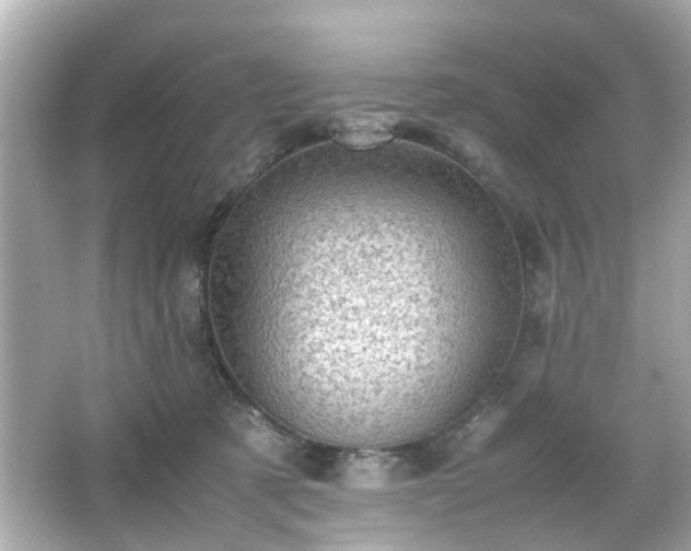 X0000066100321200603171403