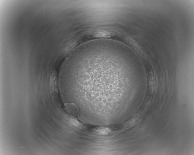 X0000066100322200603171403