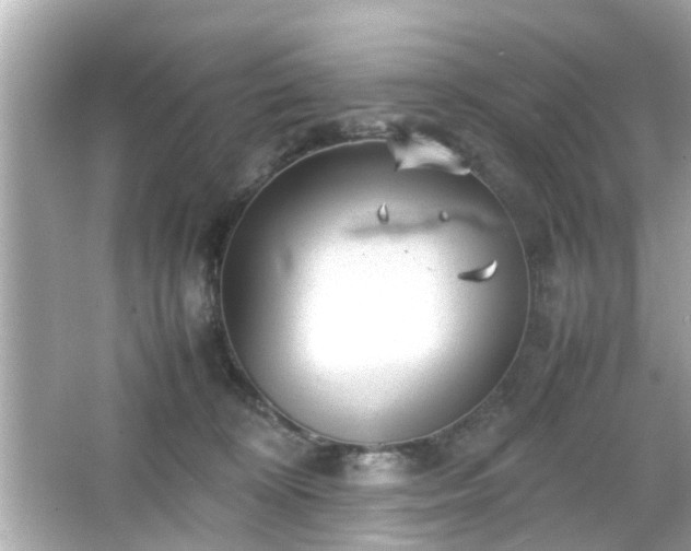 X0000066100324200603171403