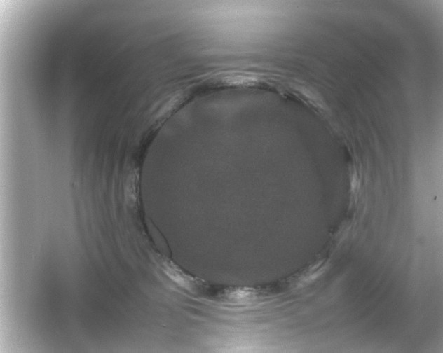 X0000066100325200603171403