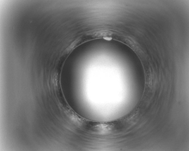 X0000066100326200603171403