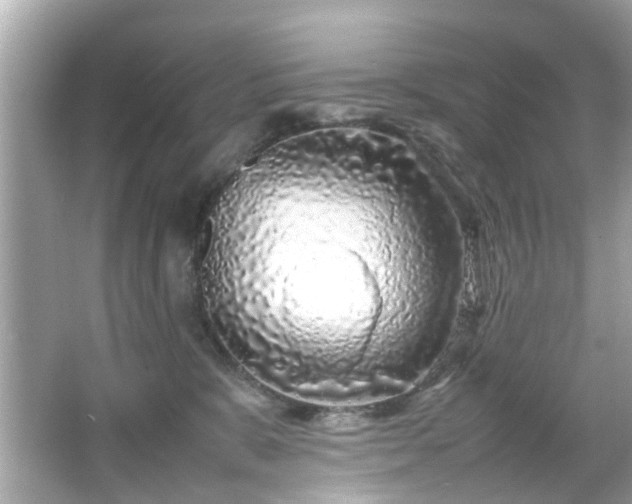 X0000066100327200603171403