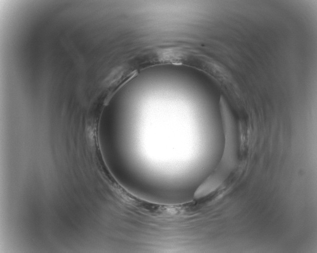 X0000066100329200603171403