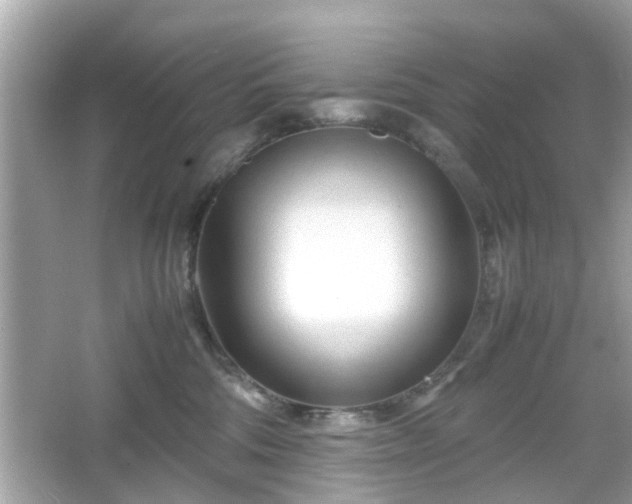 X0000066100330200603171403