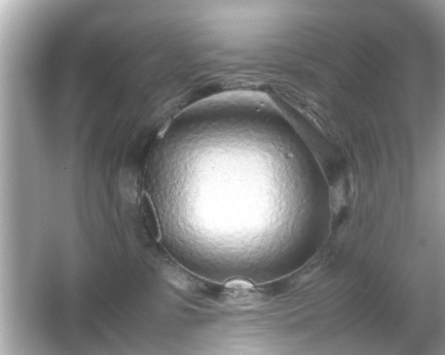 X0000066100331200603171403