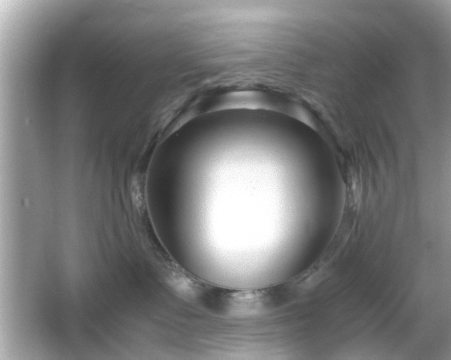 X0000066100335200603171403