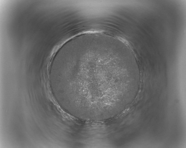 X0000066100337200603171402