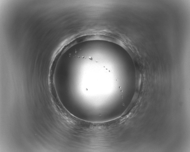 X0000066100340200603171402