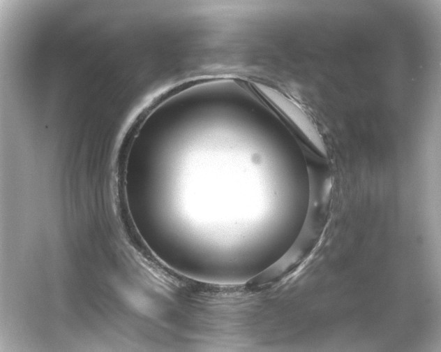 X0000066100342200603171402