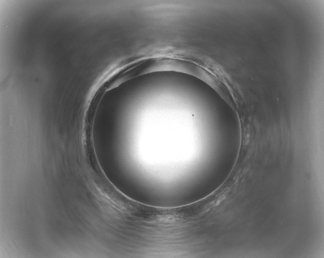 X0000066100344200603171402