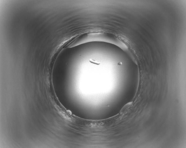 X0000066100345200603171402