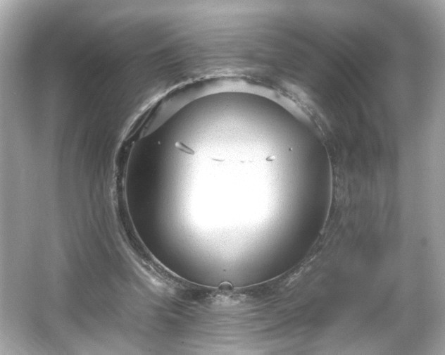 X0000066100346200603171402