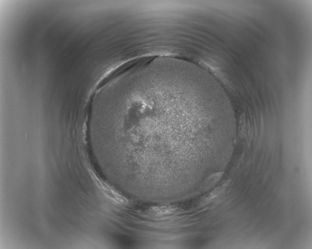 X0000066100351200603171402