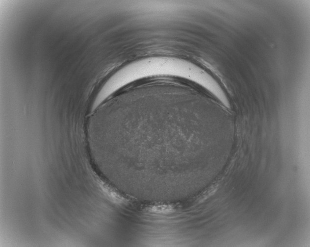 X0000066100353200603171402