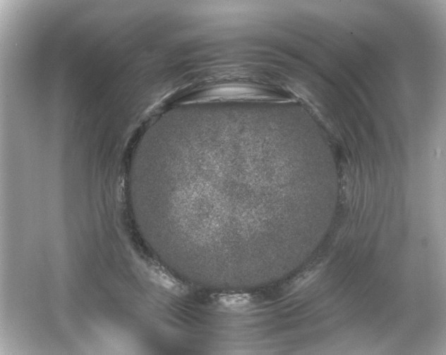 X0000066100355200603171403