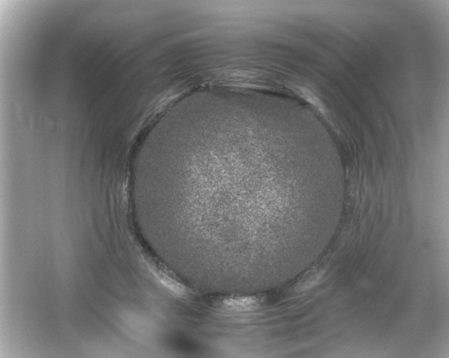 X0000066100357200603171403