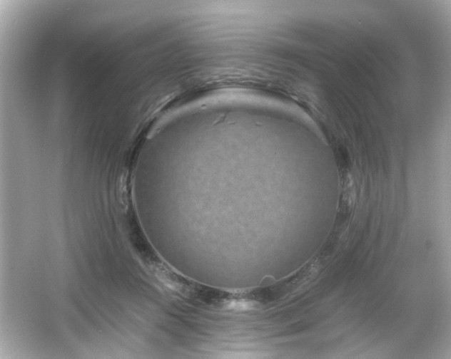 X0000066100360200603171403