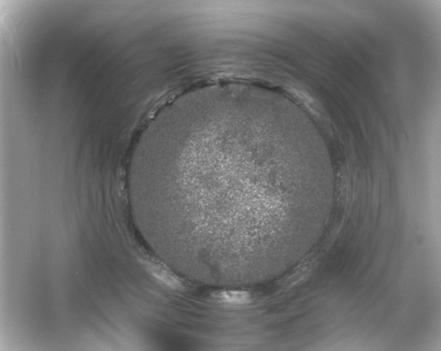 X0000066100361200603171403