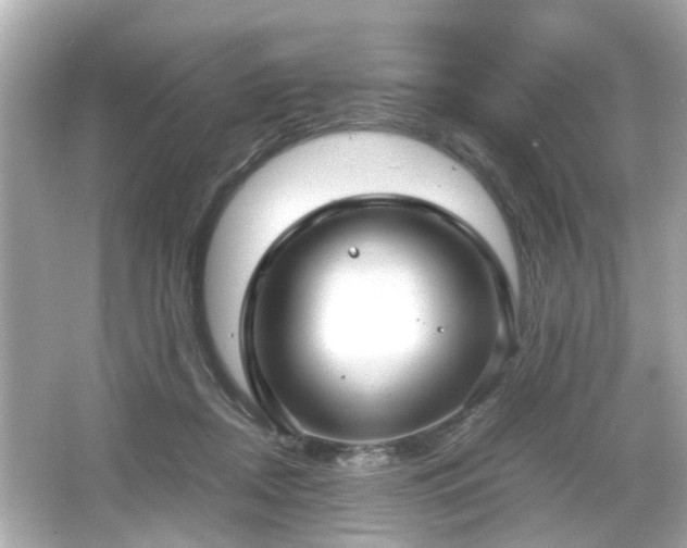 X0000066100362200603171403