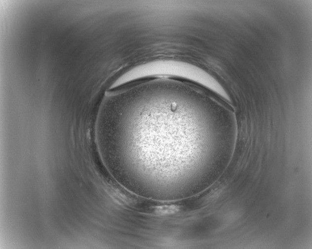 X0000066100363200603171403