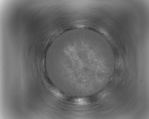 X0000066100365200603171403