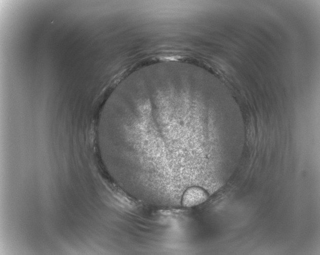 X0000066100367200603171403