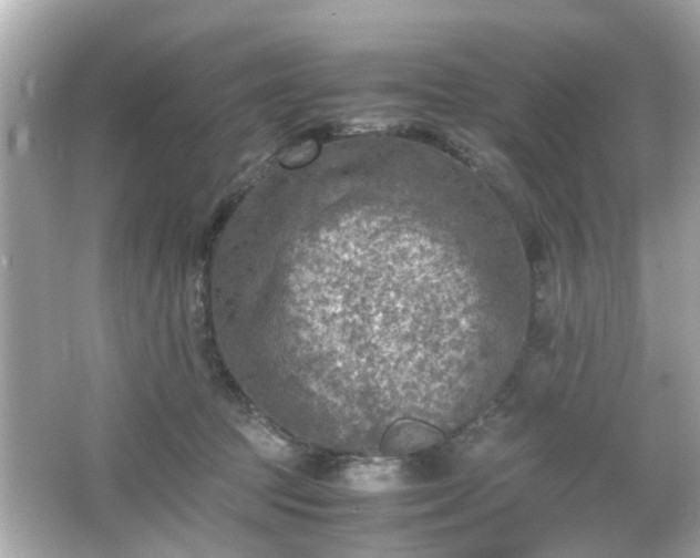 X0000066100369200603171403