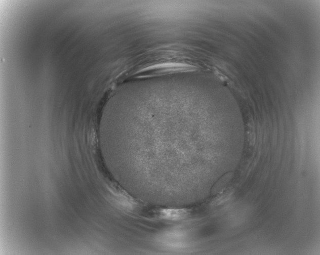 X0000066100371200603171403