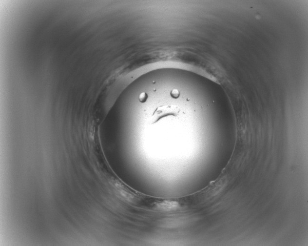 X0000066100374200603171403