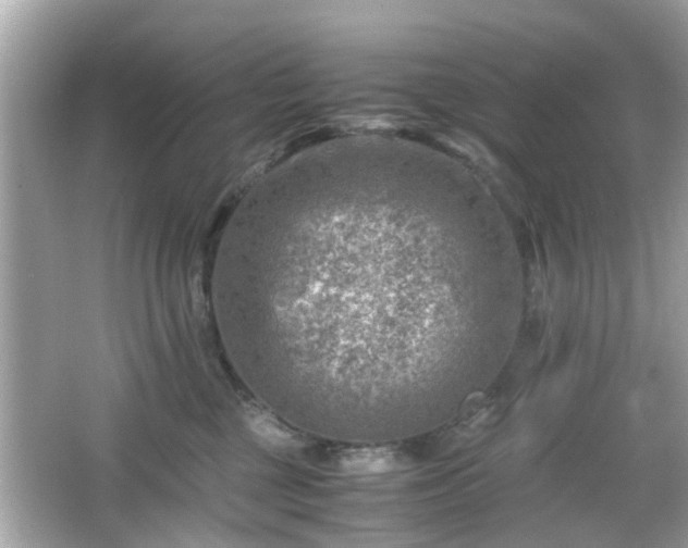 X0000066100377200603171403