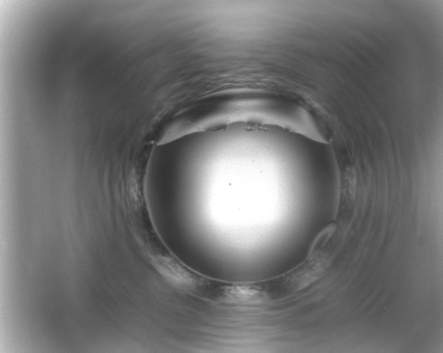 X0000066100380200603171403