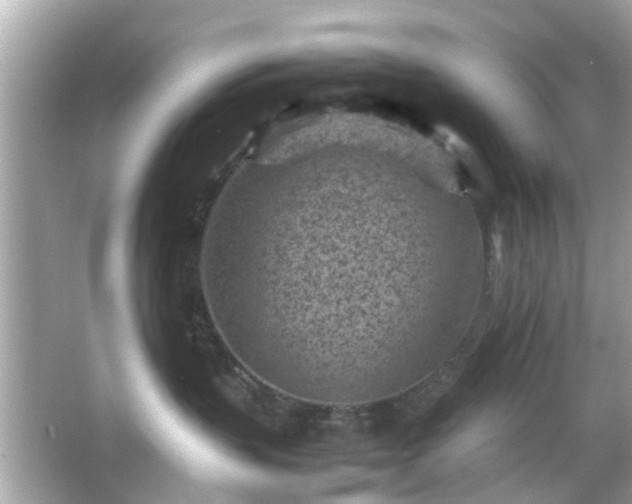 X0000066100383200603171403