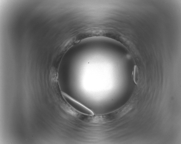 X0000066100384200603171403