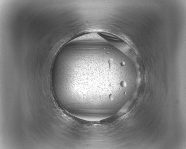 X0000066100385200603171402