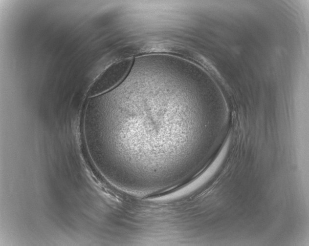 X0000066100386200603171402