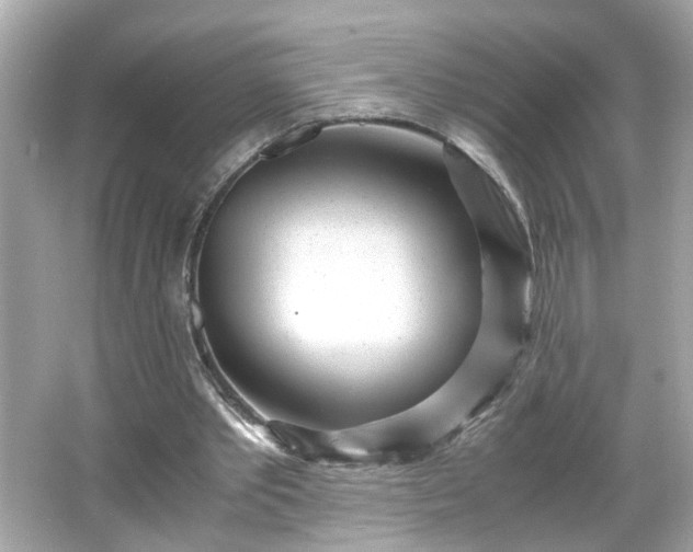 X0000066100389200603171402