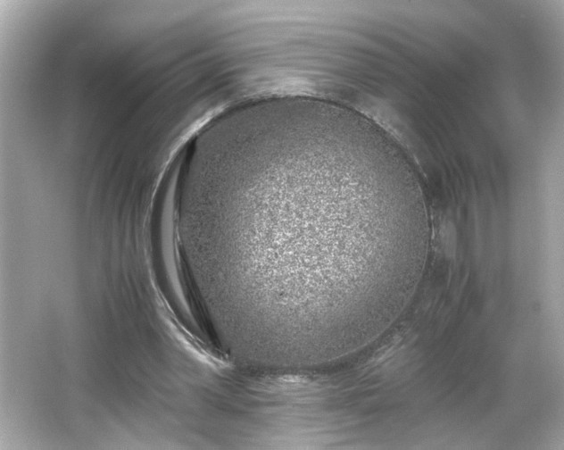 X0000066100390200603171402