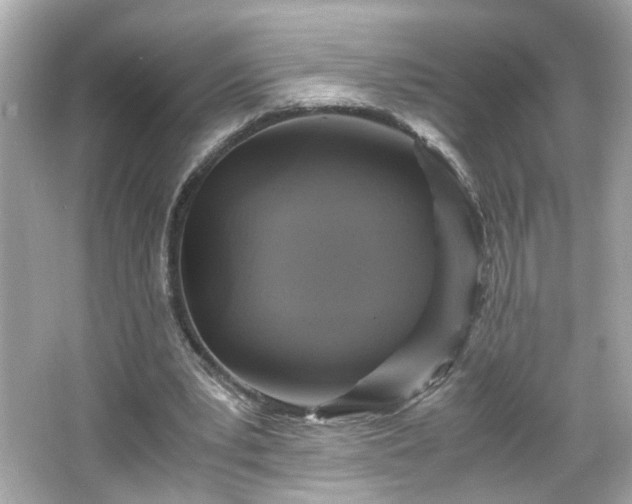 X0000066100391200603171402