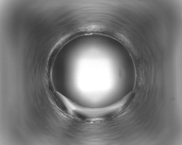 X0000066100392200603171402