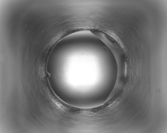 X0000066100393200603171402