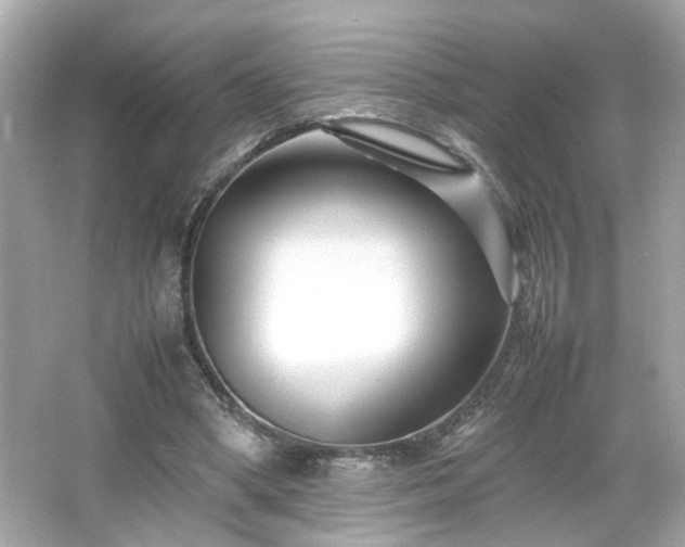 X0000066100394200603171402