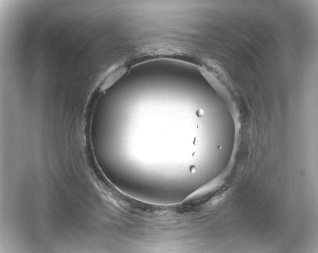 X0000066100395200603171402