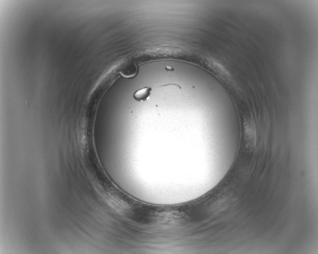 X0000066100396200603171402