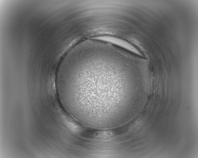 X0000066100398200603171402