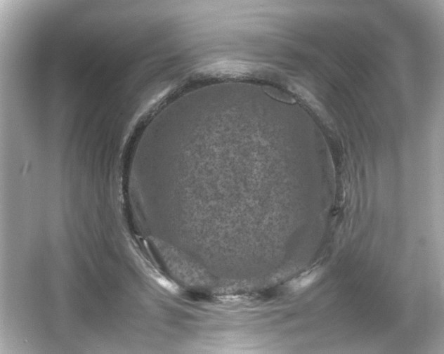 X0000066100399200603171402